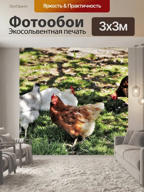 Фотообои Птицы