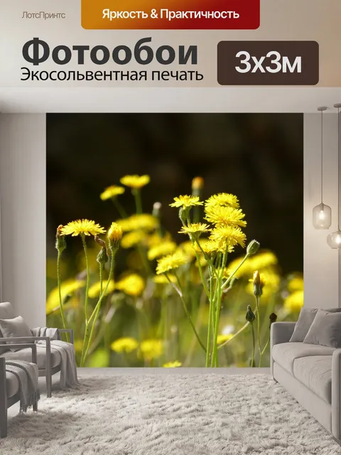 Фотообои Цветы