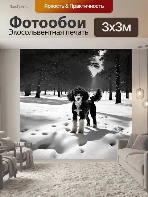 Фотообои черный и белый пудель, грациозно прогуливающийся по роскошному, покрытому снегом парку