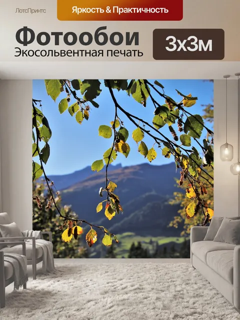 Фотообои Сучки