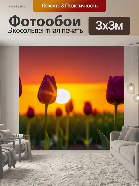 Фотообои тюльпаны на фоне заката