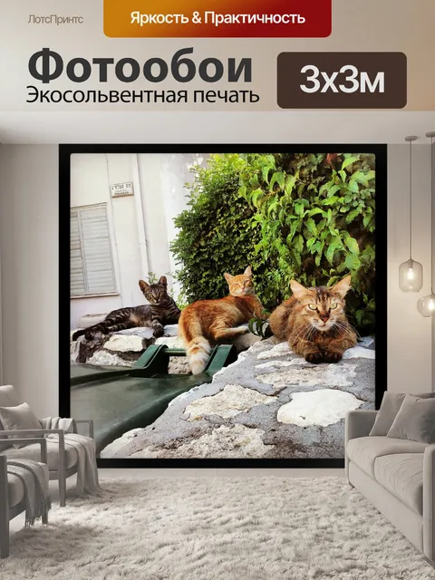 Фотообои Природа