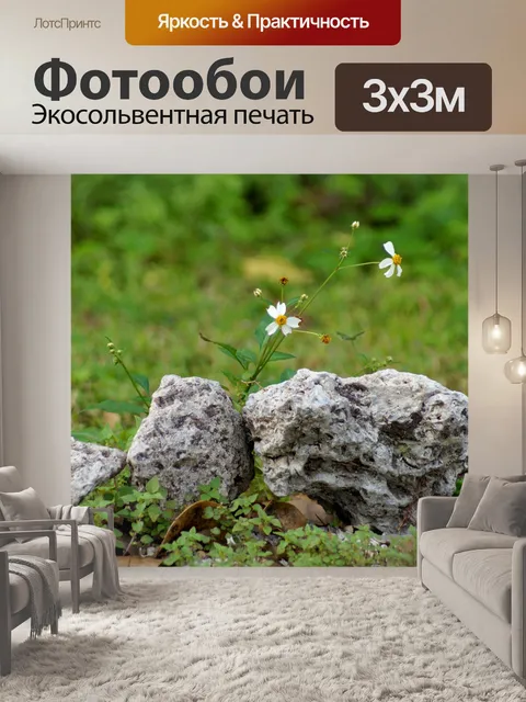 Фотообои Ромашки и Скалы