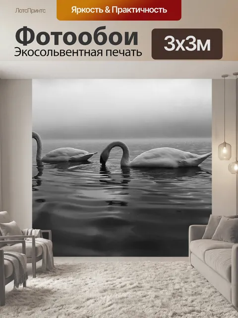 Фотообои Лебеди