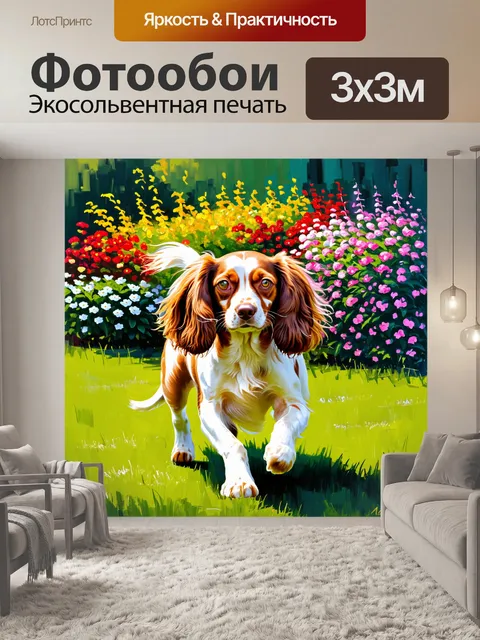 Фотообои спаниель le поскакал по зелёной лужайке, его уши развеваются на ветру