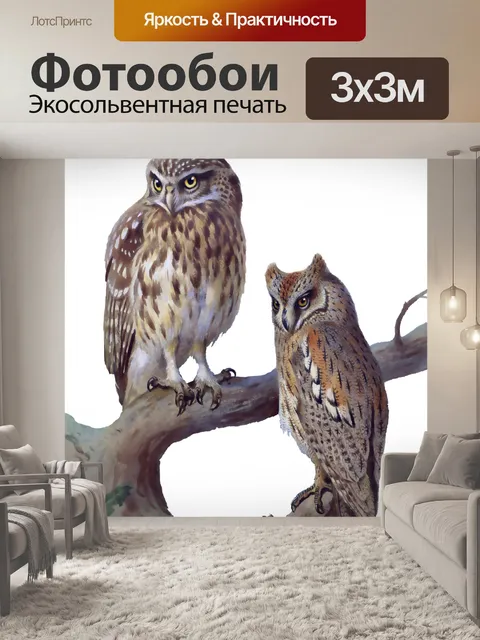 Фотообои Сова акварель Картина
