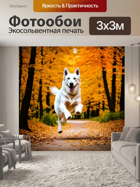 Фотообои белая овчарка, прыгающая в осенний лес, где листья окрасились в яркие оттенки желтого и оранжевого