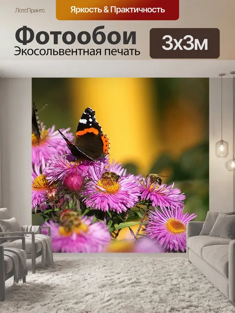 Фотообои Бабочки