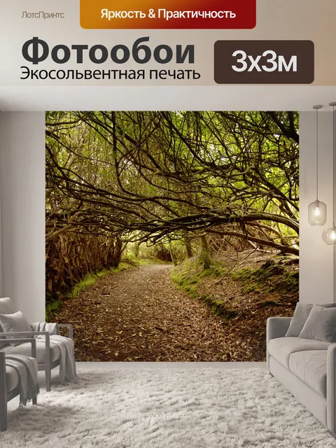 Фотообои Лес
