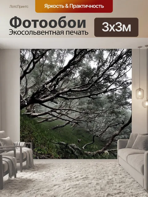 Фотообои Гора фудзи