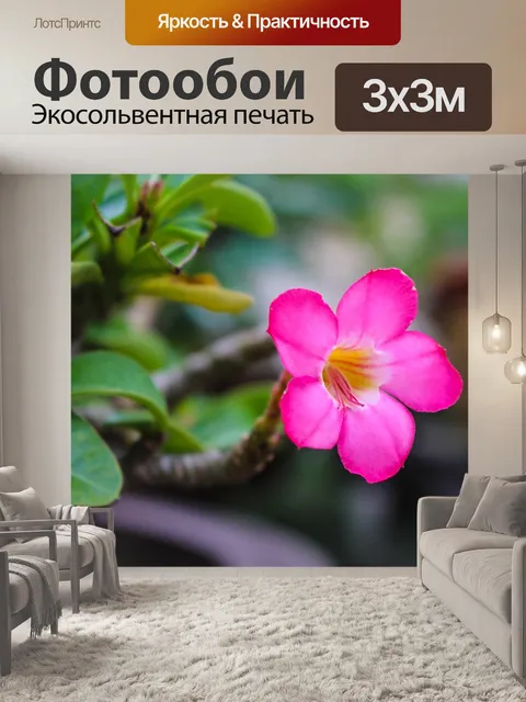 Фотообои Увлекательно