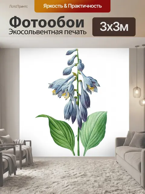 Фотообои Хоста Цветы Винтажное Искусство