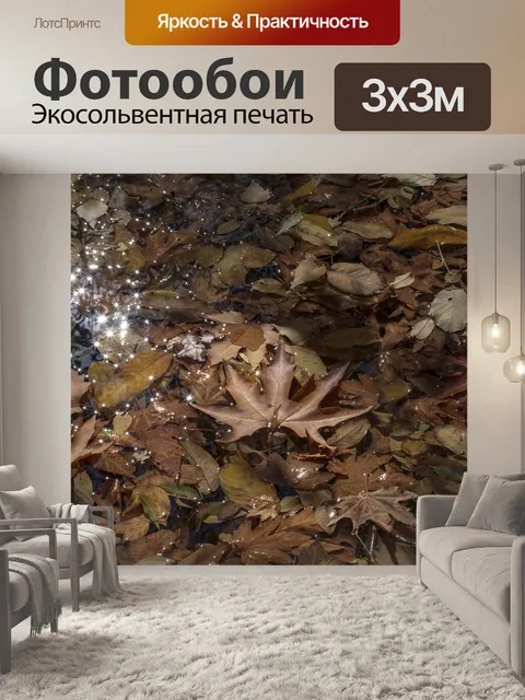 Фотообои Красочный