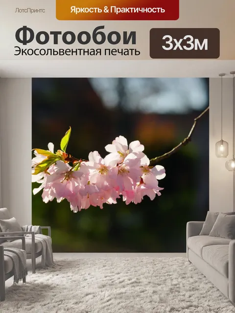 Фотообои Вишня в цвету