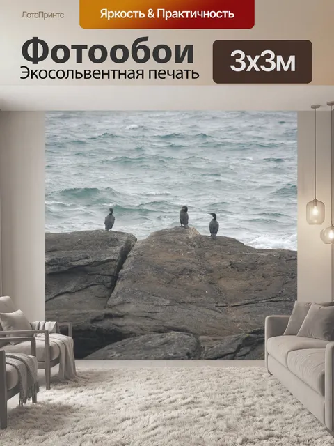 Фотообои Группа бакланов на скалах