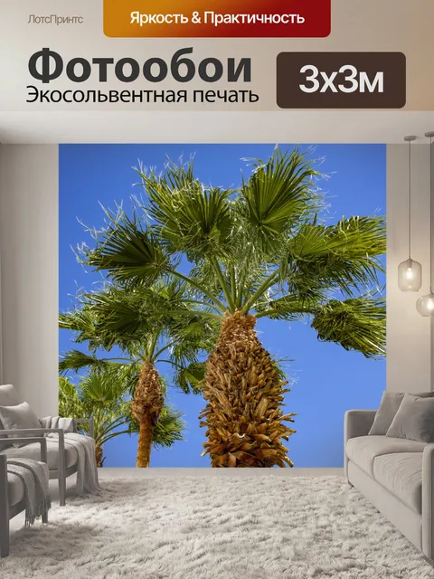 Фотообои Пальмовые деревья