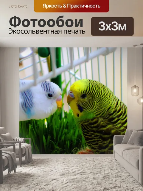 Фотообои Beaking друзей