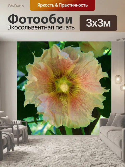 Фотообои Бледно-розовая мальва