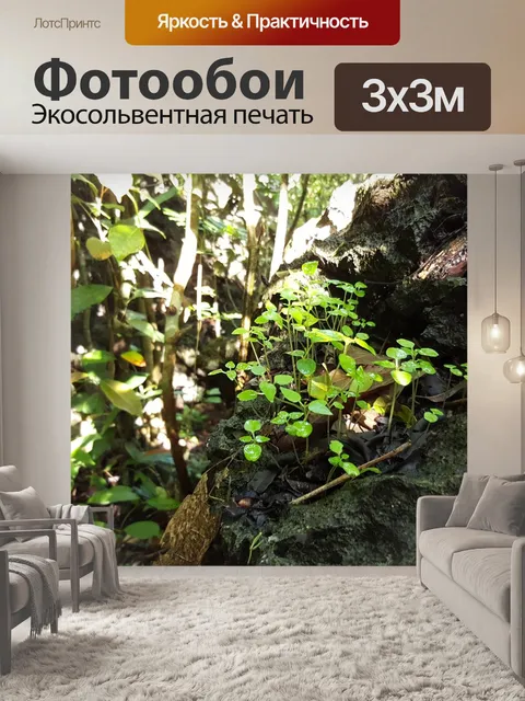 Фотообои Лес