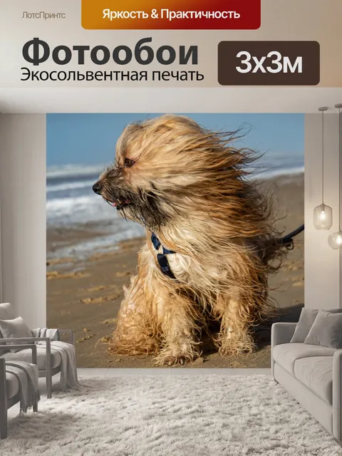 Фотообои Собака