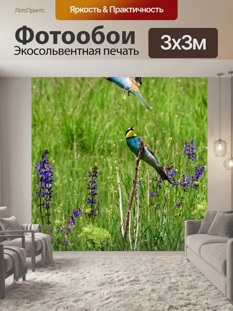 Фотообои Птицы