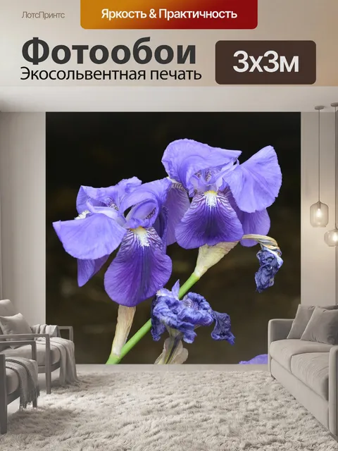 Фотообои Ирис