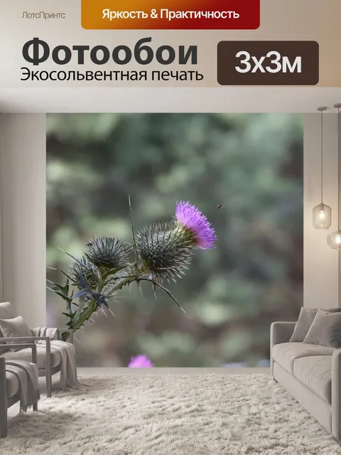 Фотообои Чертополох