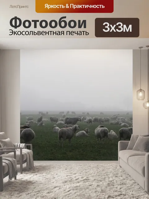 Фотообои Овец