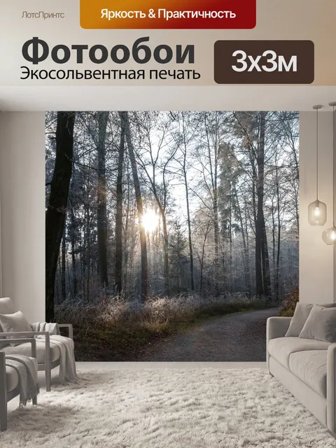 Фотообои Лес