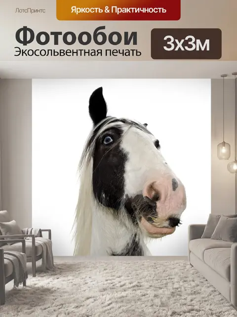 Фотообои животное