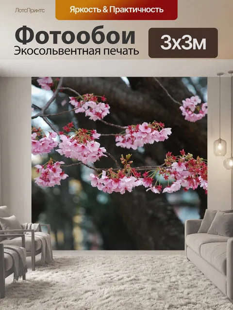 Фотообои Сакура