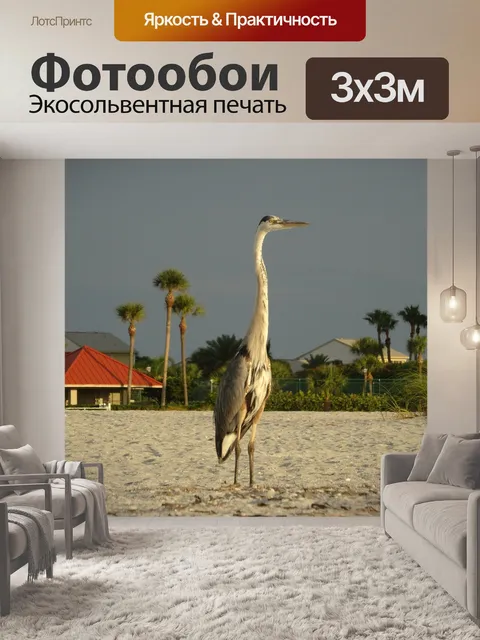 Фотообои Птица