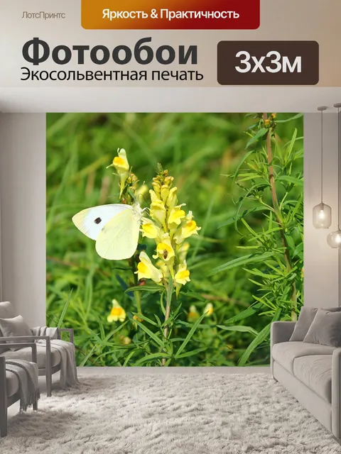 Фотообои Пейзаж