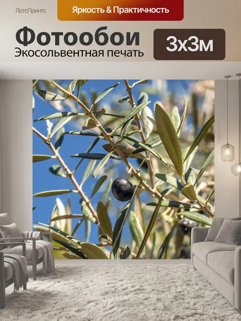Фотообои Оливковый