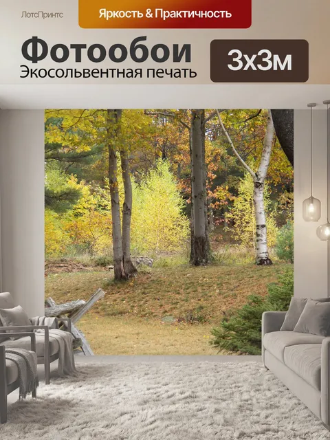 Фотообои Осенние деревья