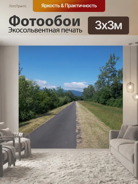 Фотообои Дорога