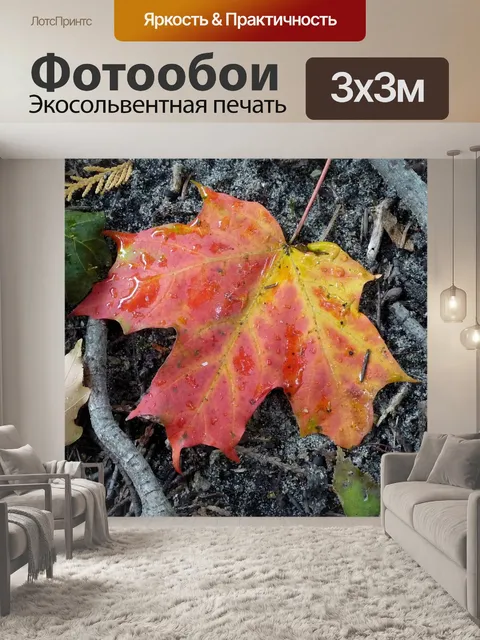 Фотообои Клен