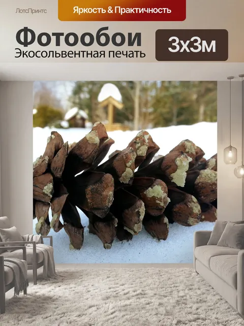 Фотообои Шишка