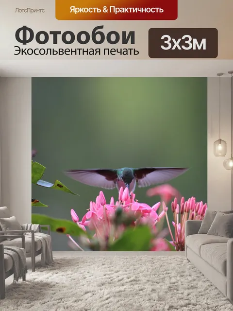 Фотообои Колибри