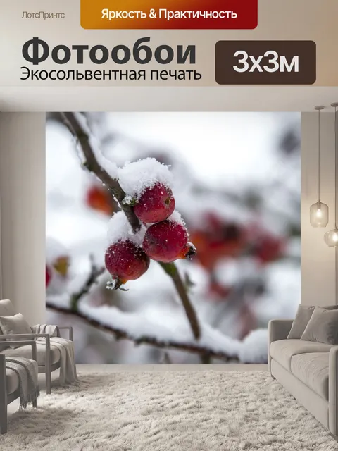 Фотообои Снег покрыл яблоко