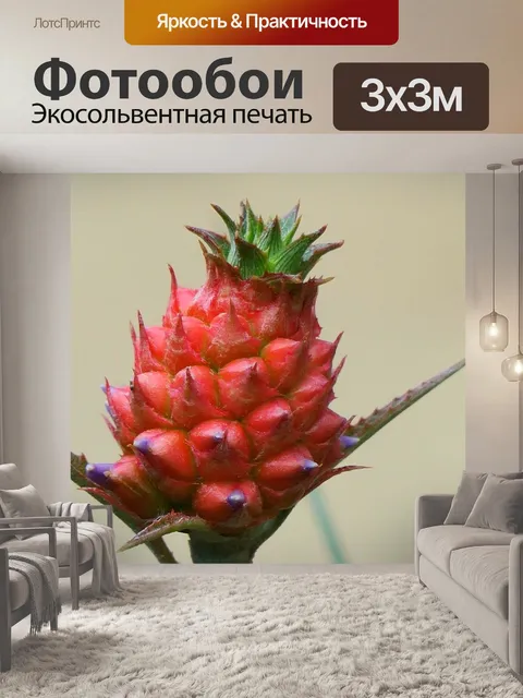 Фотообои Природа
