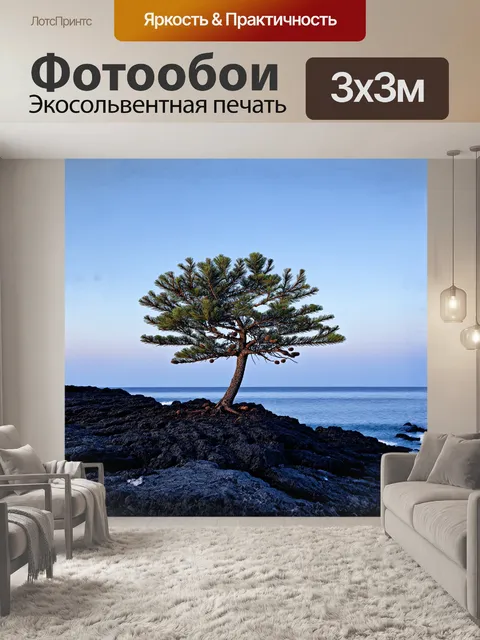 Фотообои дерево с ветками, нагруженными сосновыми шишками, стоит на скалистом берегу моря, в стиле фотографии с…