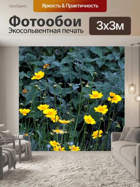 Фотообои Arty эффект ромашки в саду