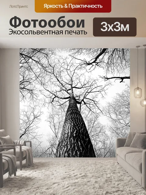 Фотообои Лес