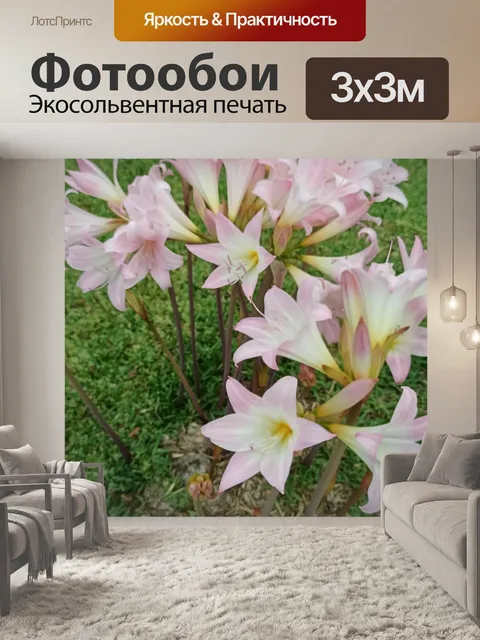Фотообои Цветы
