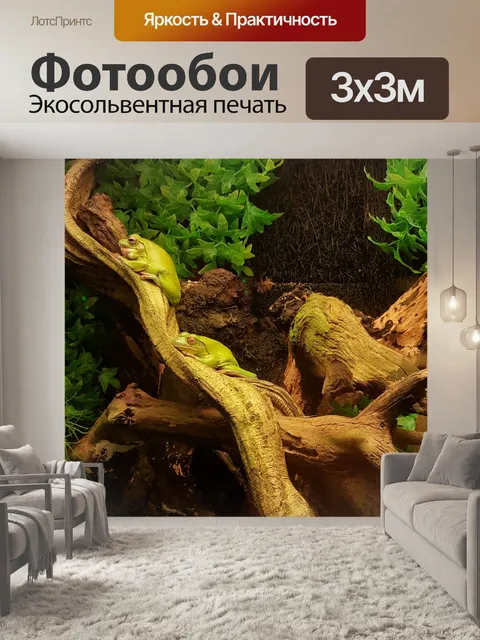 Фотообои Лягушка