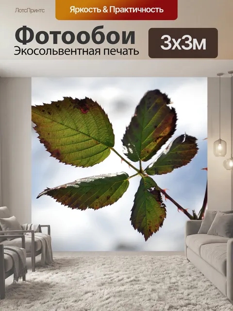 Фотообои Лист