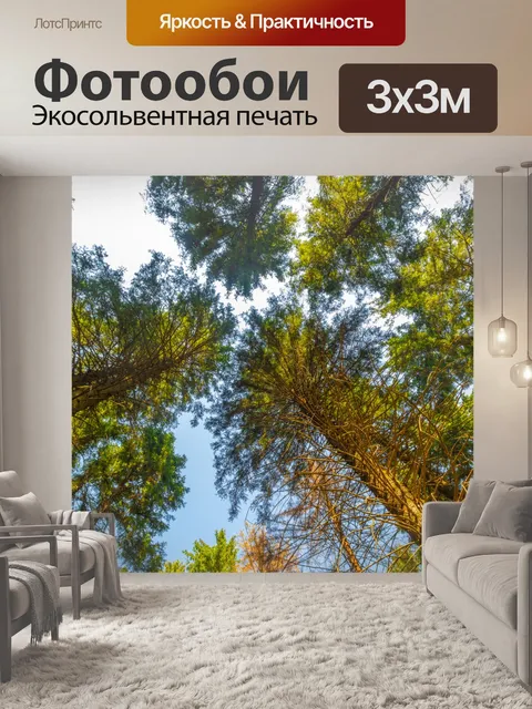 Фотообои Деревья, глядя вверх