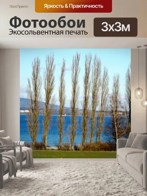 Фотообои Деревья