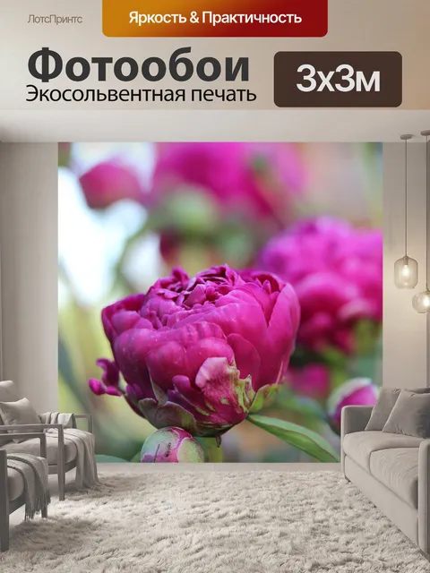 Фотообои Пион